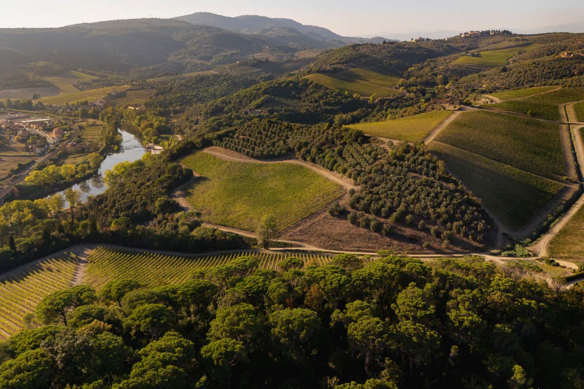 Il progetto che valorizza l’identità dei vini delle Colline Medicee Il progetto che valorizza l’identità dei vini delle Colline Medicee