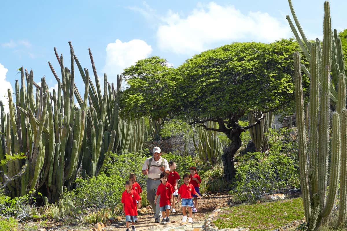 Aruba, Ankok Park (foto Aruba Tourism Authority) L'Embassy Suites di Hilton apre le porte ad Aruba