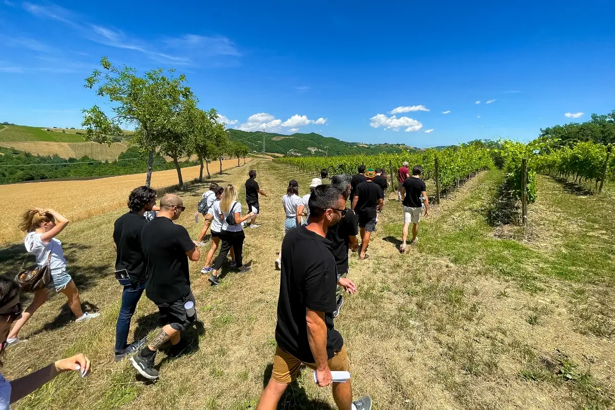 Cantina La Canosa, visita ai vigneti Tenuta La Canosa, storia di vino e passione