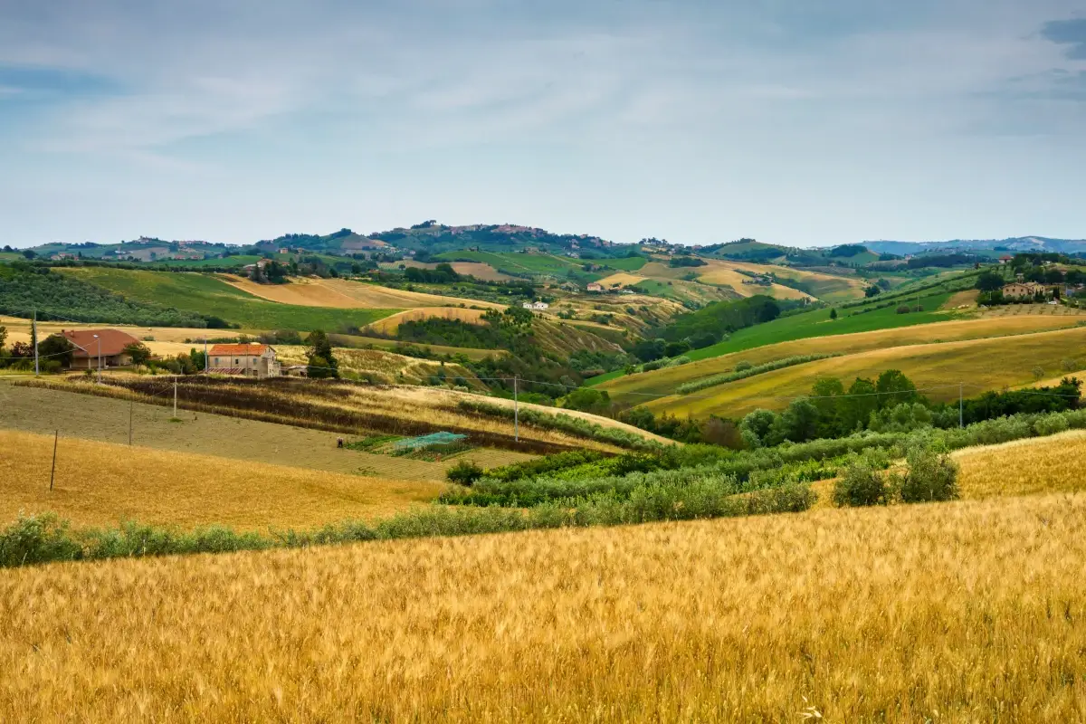 L'impegno del Piceno insieme al Portogallo per incrementare l'enoturismo Piceno e Portogallo insieme alla ricerca di esperti di enoturismo