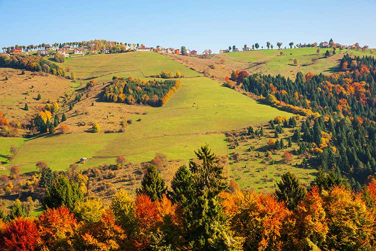(Asiago Foliage Appuntamento imperdibile)