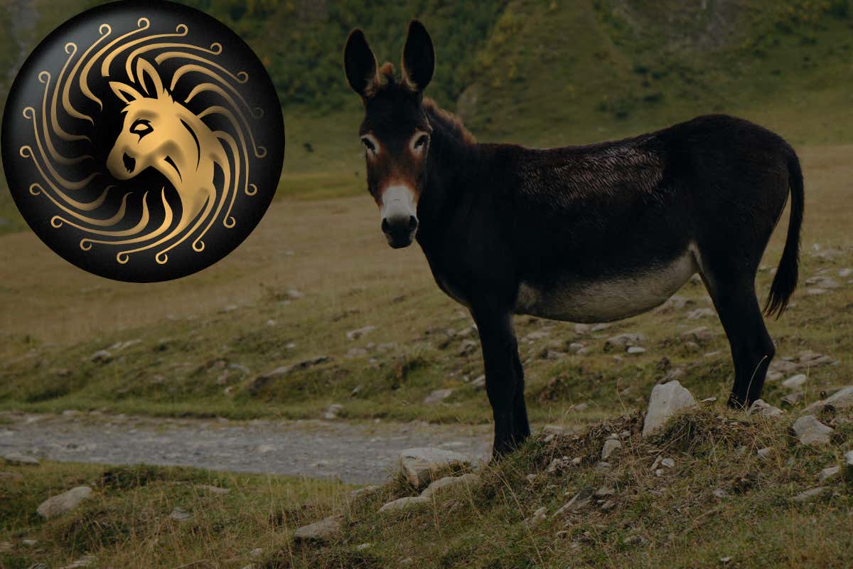 Brut 700 Lost Edition: con Cusumano  un brindisi per la biodiversità