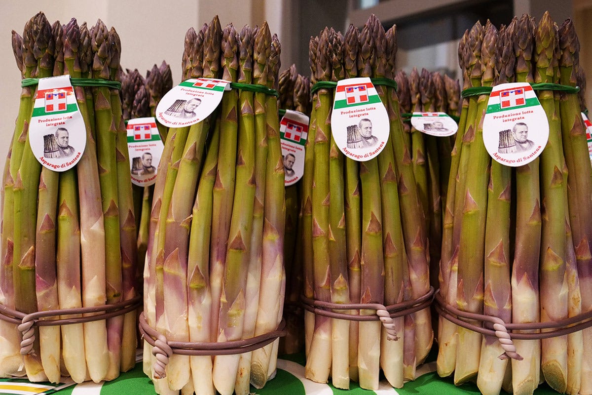 Annata speciale per gli asparagi Per gli asparagi, una stagione di alta qualità