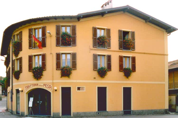 (L'asparago a Cantello Verde o bianco, ma sempre di qualit&agrave;)