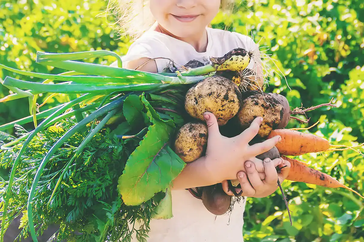 Per Assobio, la spesa media procapite di agroalimentare biologico in Italia &egrave; di 60 euro E-Commerce e discount spingono le vendite di agroalimentare bio