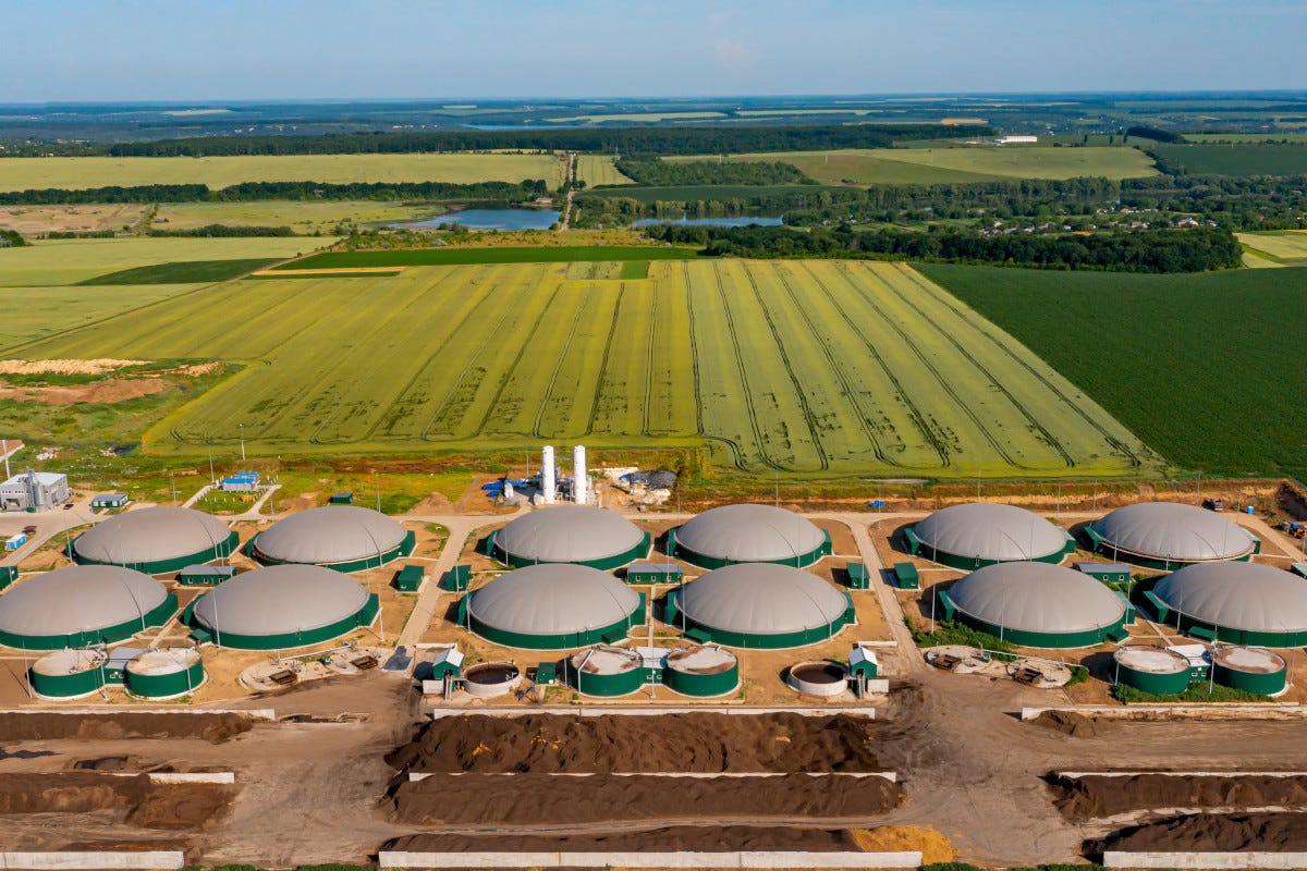 Dai residui della lavorazione si produce biogas Distillerie sempre più green: producono e usano per due terzi energia rinnovabile