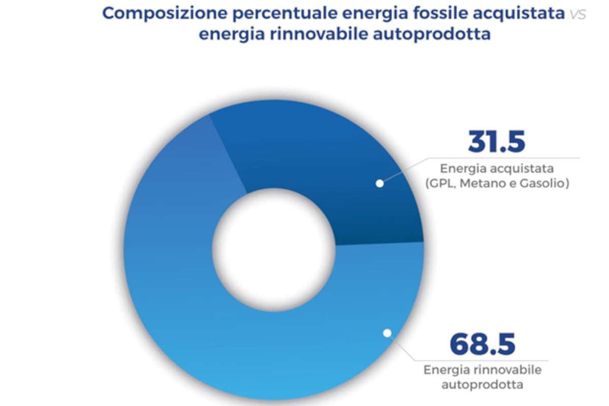 Le varie percentuali di energia usate dalle distillerie Distillerie sempre più green: producono e usano per due terzi energia rinnovabile
