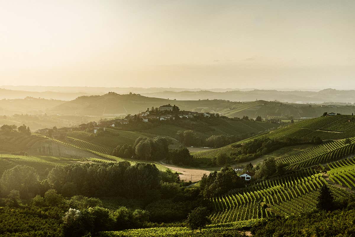 I vigneti del territorio dell’Asti Docg, culla di Moscato e Brachetto, protagonisti della nuova tipologia Rosato