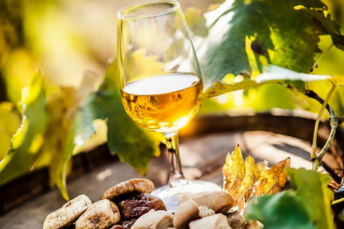 Tra Asti Docg, Canelli Docg e Strevi Doc: l’autunno del Moscato Bianco piemontese Tra Asti Docg, Canelli Docg e Strevi Doc: l’autunno del Moscato Bianco piemontese