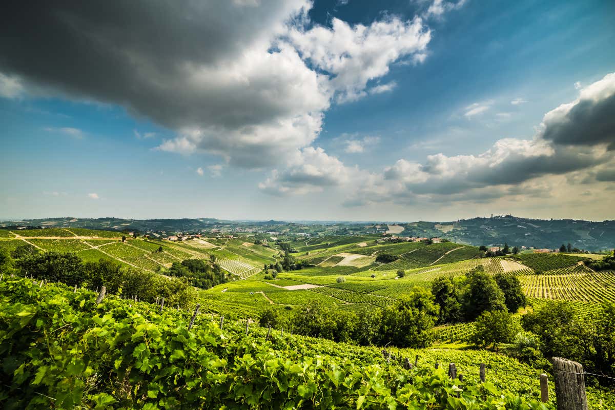 Le vigne del Monferrato, casa dell'Asti