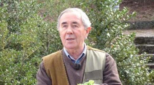 Augusto Tocci Augusto Tocci