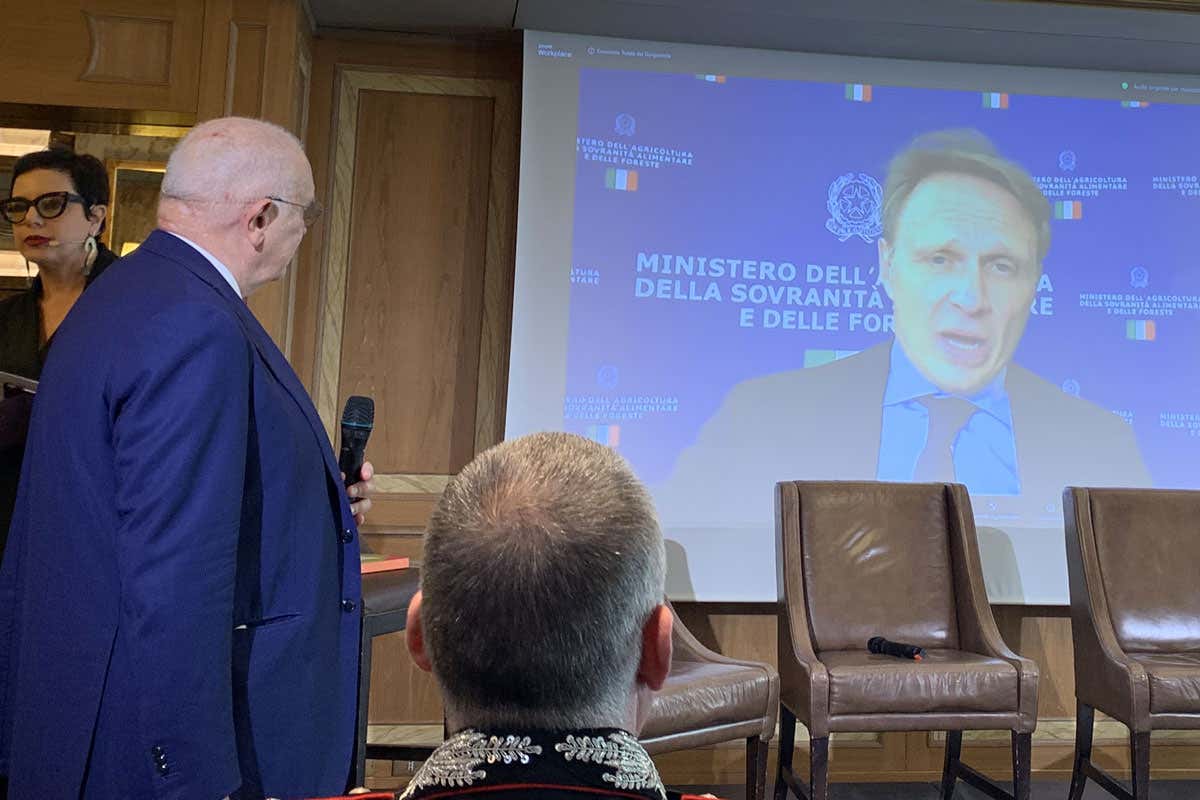 Gorgonzola Dop, record storico nel 2025: mai prodotte così tante forme