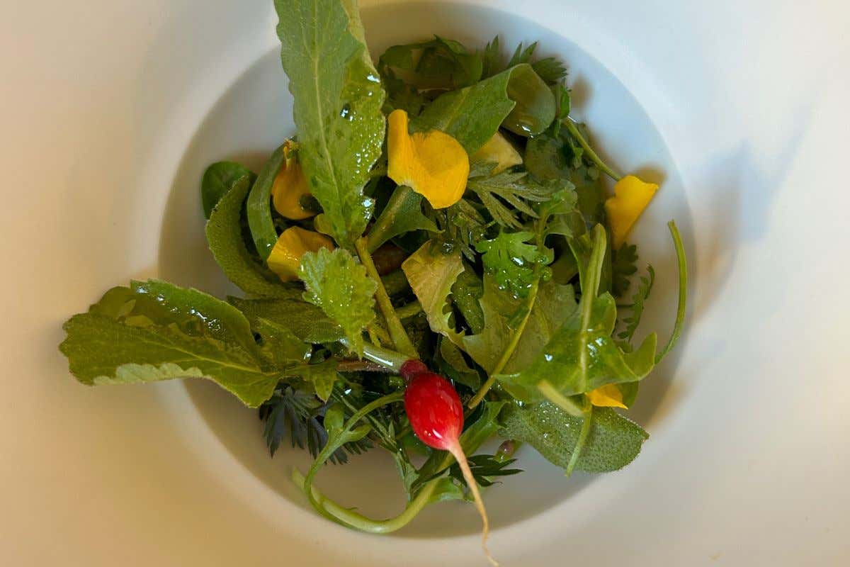 Come e cosa si mangia da Autem, il ristorante milanese di Luca Natalini?