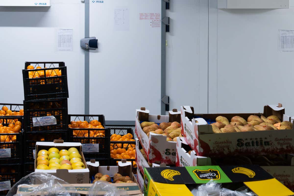 L'offerta di servizi per aziende di Authentica è fortemente orientata al cibo salutare