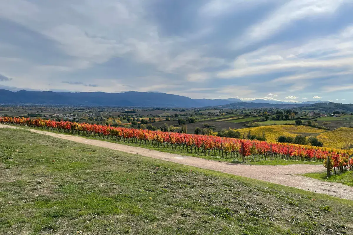 Un autunno ai piedi del Carapace
