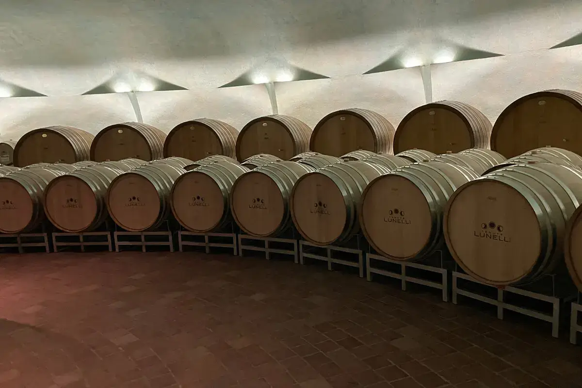 Un autunno ai piedi del Carapace