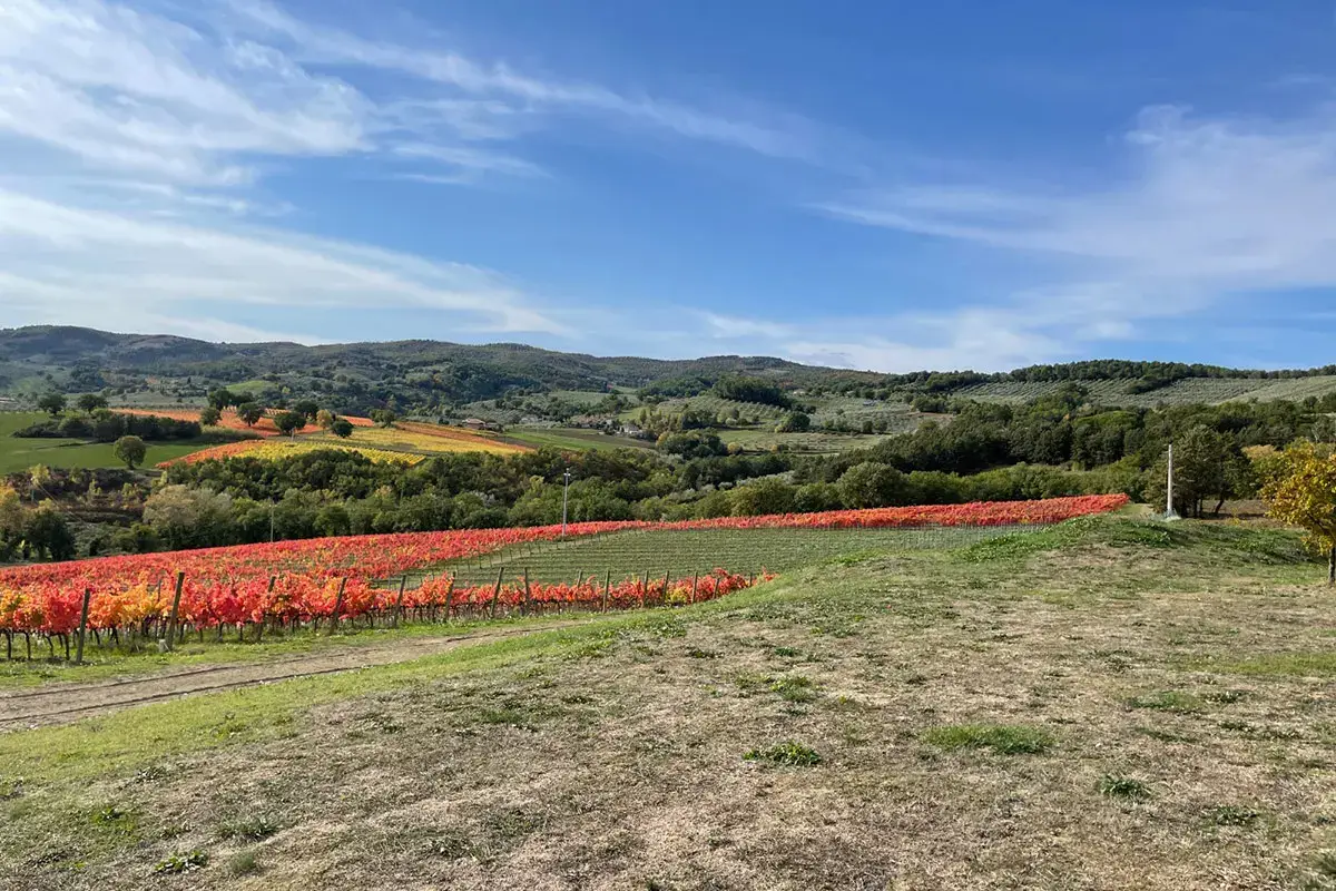 Un autunno ai piedi del Carapace