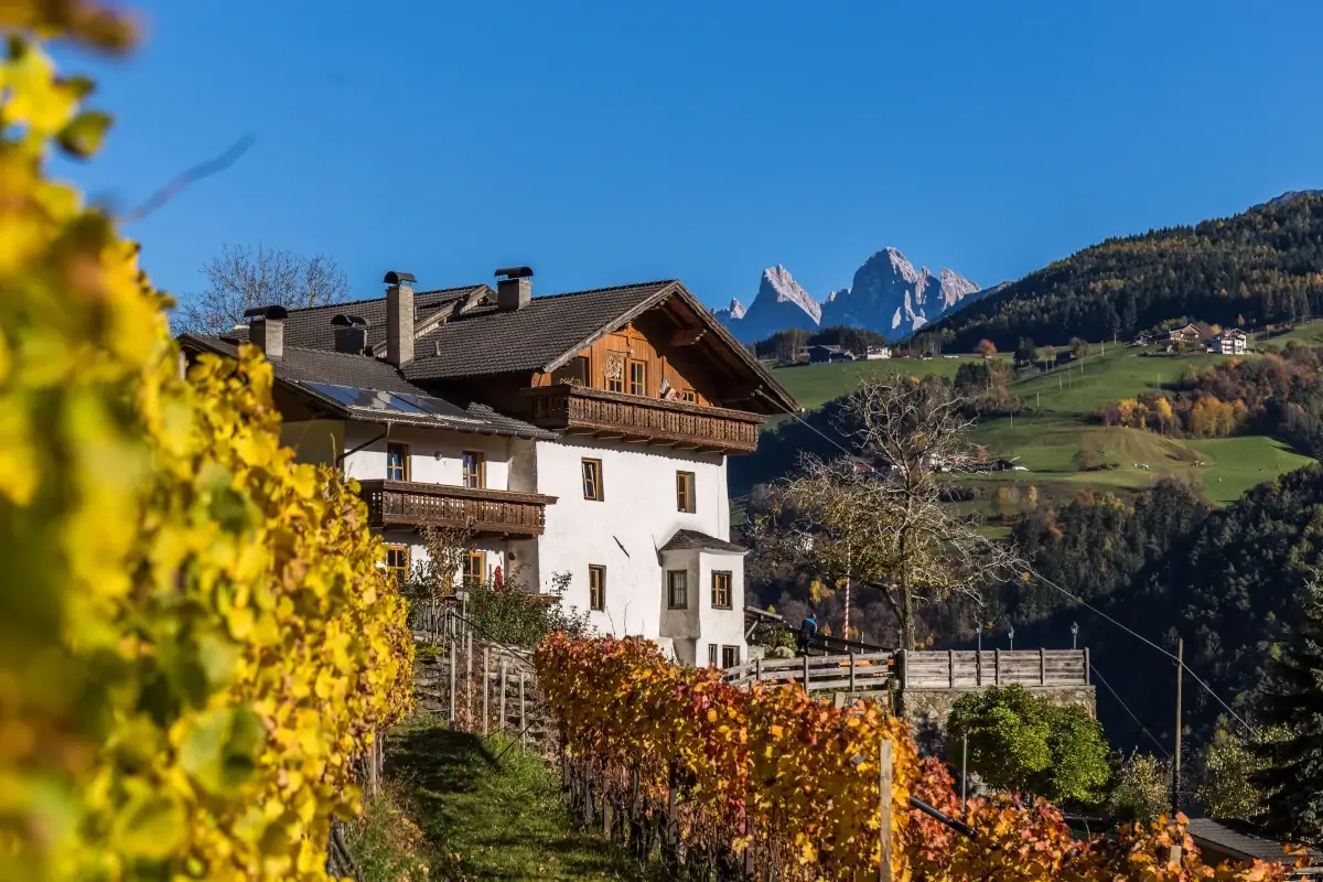 Autunno sulle Dolomiti l'Alto Adige d'autunno, boschi infuocati con le Dolomiti sullo sfondo