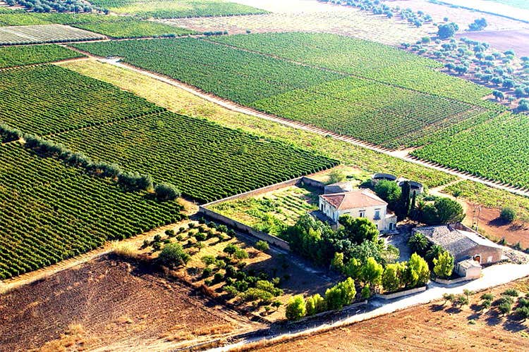 (Da una terra vocata ai grandi vini il 3 Carati 2014 di Avide) (Da una terra vocata ai grandi vini il 3 Carati 2014 di Avide)