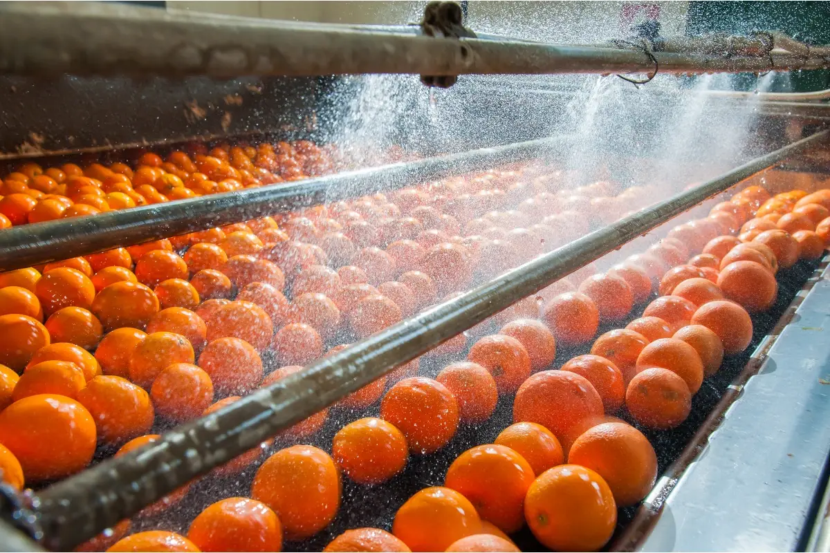 Alimentari, nonostante le difficolt&agrave; le aziende investono in sostenibilit&agrave;