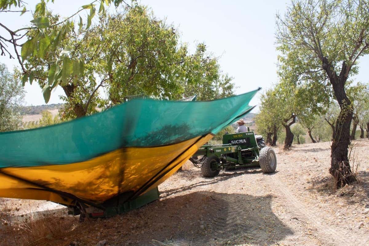 Atlante della Bellezza: 14 mete da scoprire fuori dal turismo di massa