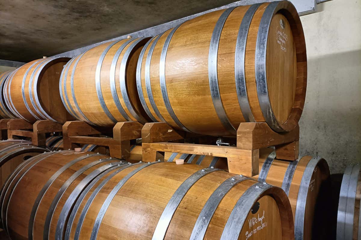 Dal Sauvignon al Picolit: le vecchie annate di Butussi sono una garanzia