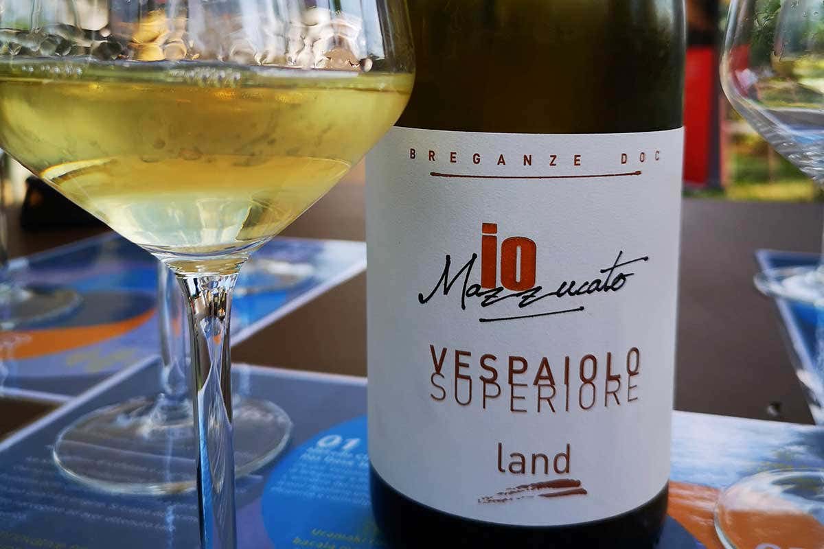 Il Vespaiolo Superiore Breganze Doc Dalle Lofoten a Breganze (Vi), nei piatti il merluzzo artico diventa baccalà