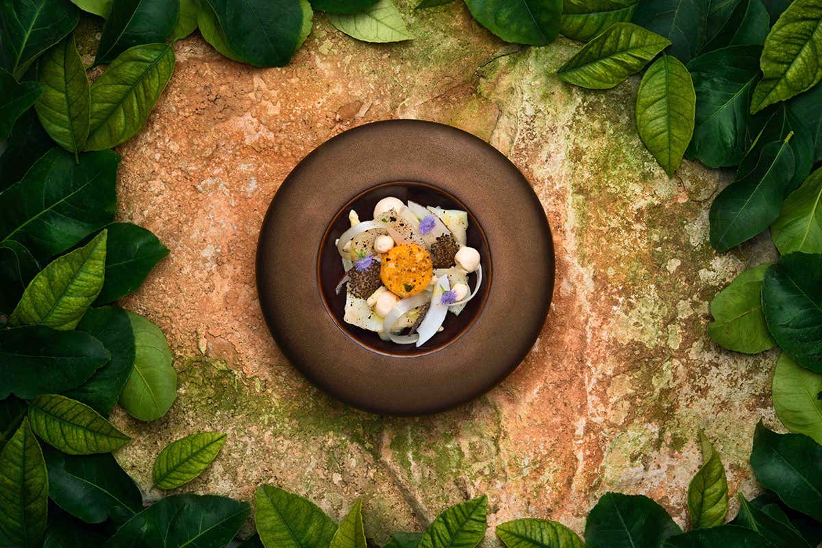 Baccalà al limone nero, asparagi bianchi marinati e tuorlo confit Unilever Food Solutions e Fic insieme per un progetto formativo