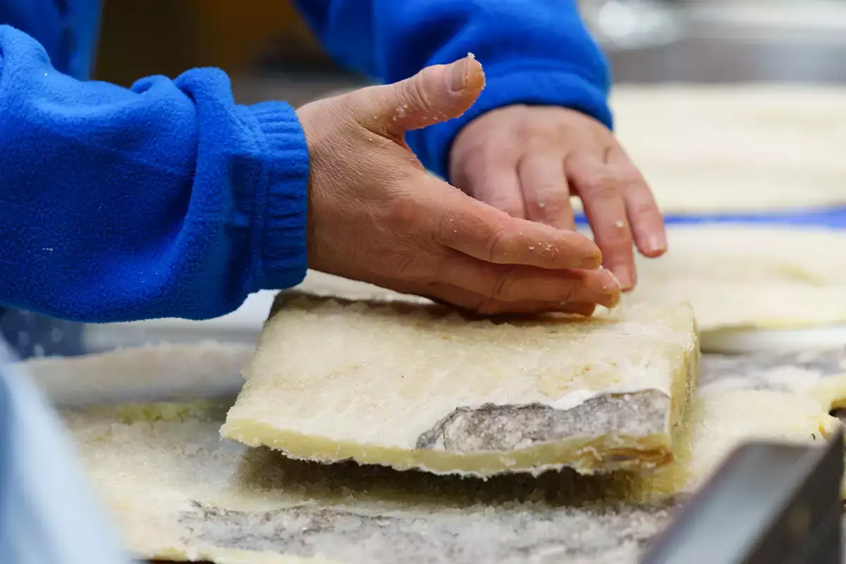 Il baccal&agrave; viene portato negli stabilimenti di salatura entro 12 ore dalla pesca in mare Baccal&agrave; Giraldo, punto di forza di Longino