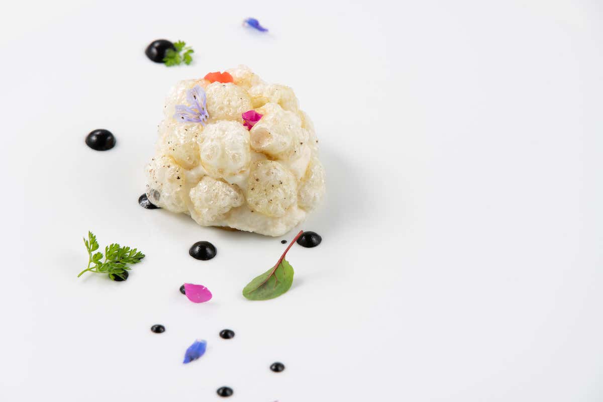 Baccalà (foto Lorenzo Moreni) Corrado Parisi è il nuovo cuoco del Ristorante Al Pappagallo di Bologna