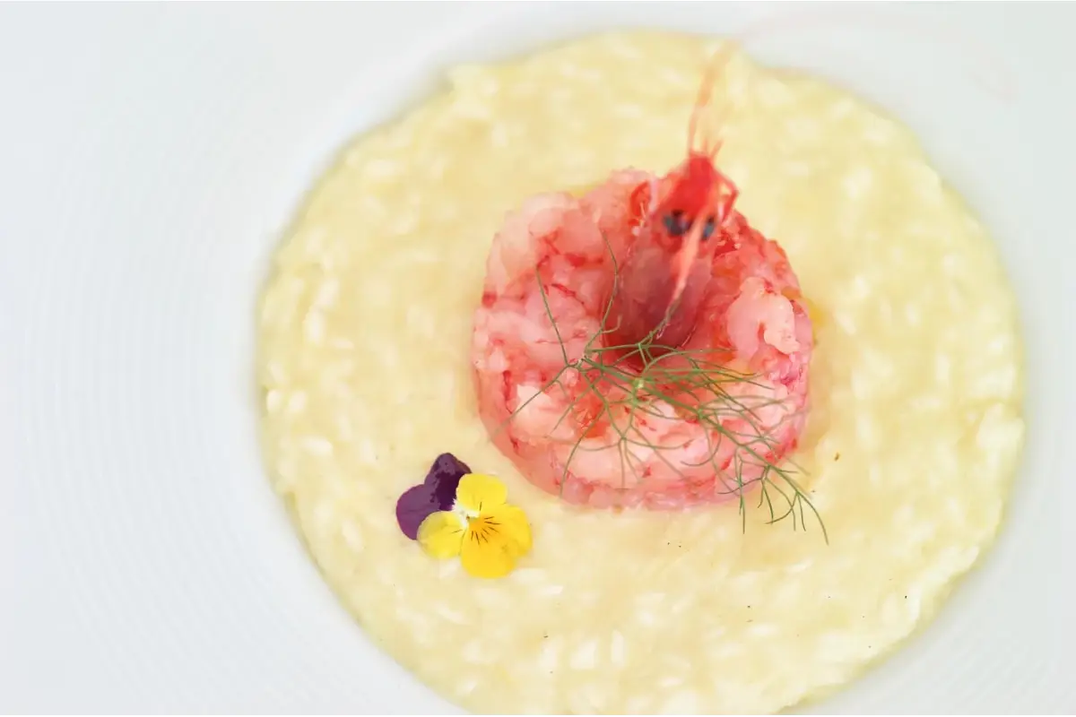 Baccofurore Hotel Hostaria, storia e trionfo di sapori mediterranei