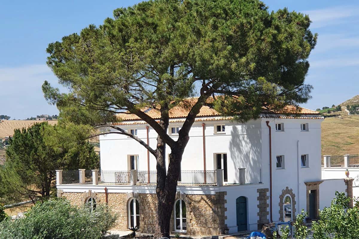 Baglio Bonsignore produce circa 50 mila bottiglie l'anno Debora Greco, la signora