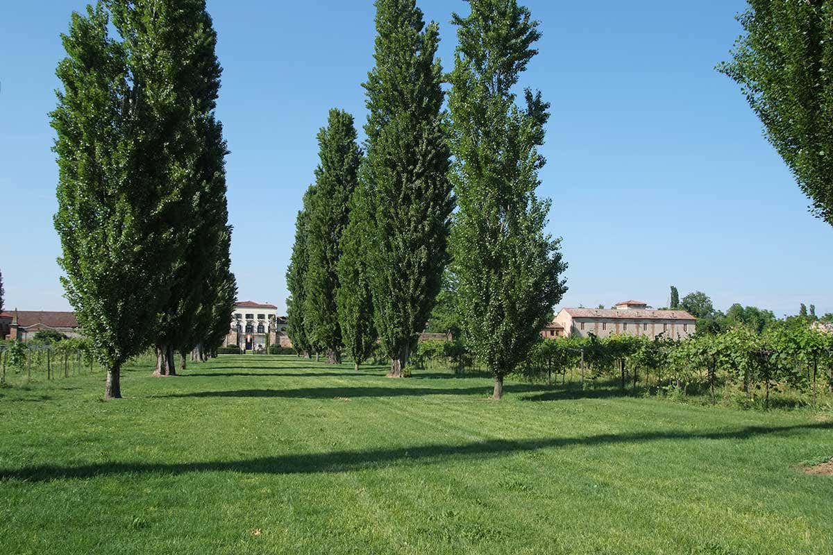 Il Brolo del Dominio di Bagnoli Esperienza da Mille e una ... botte. Ecco i wine resort pi&ugrave; suggestivi d'Italia