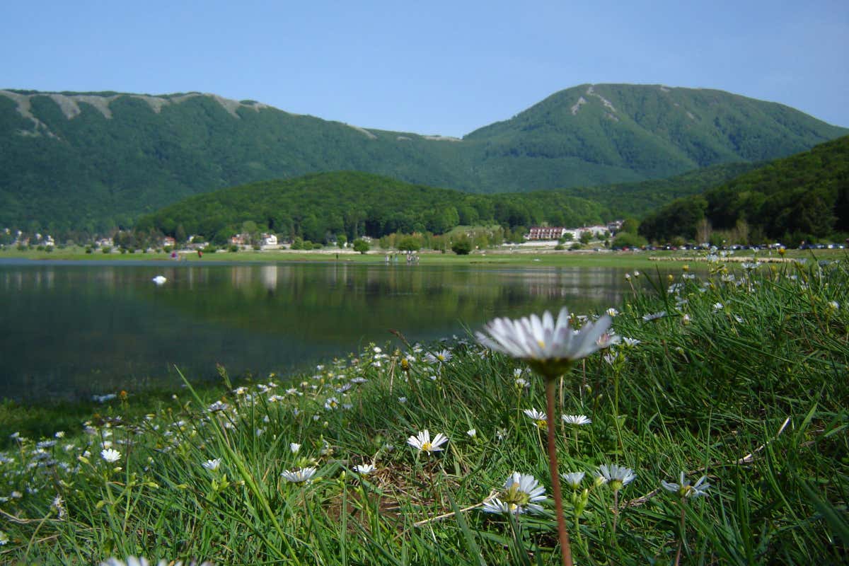 Bagnoli Irpino. Fonte: Associazione Nazionale Città del Tartufo Le città del Tartufo: Bagnoli Irpino in Campania e il Nero di Bagnoli