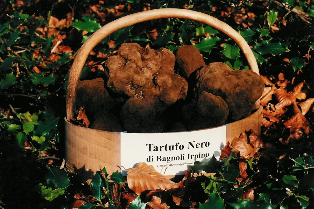 Bagnoli Irpino. Fonte: Associazione Nazionale Città del Tartufo Le città del Tartufo: Bagnoli Irpino in Campania e il Nero di Bagnoli