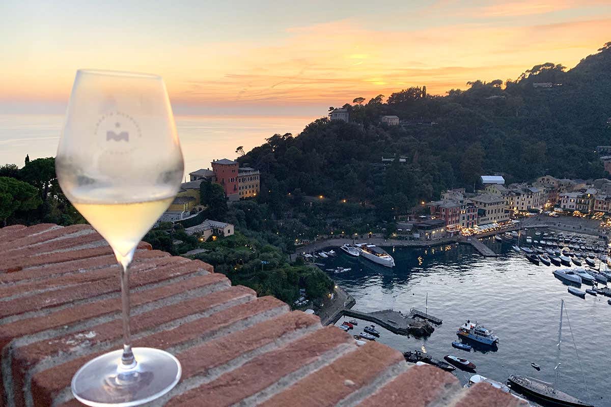 Le Mesnil 2018 e Ma Vie en Rose: i nuovi Champagne di Alberto Massucco  