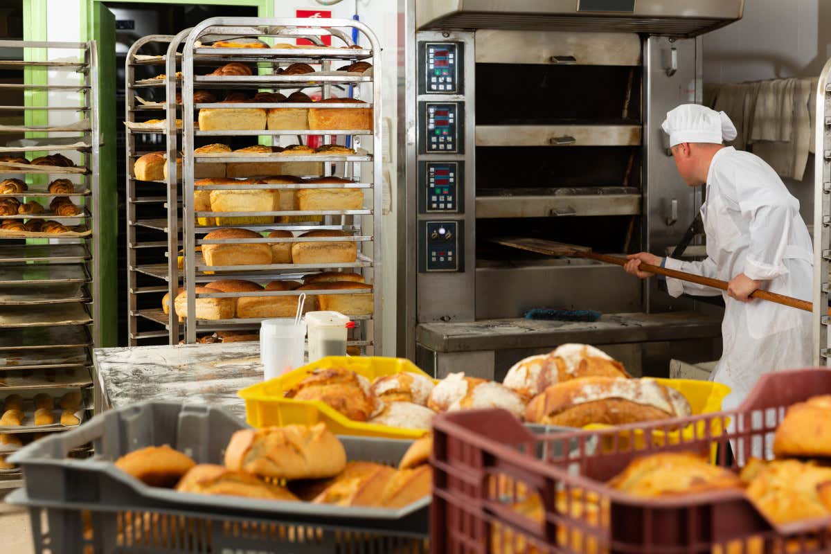 La bakery sempre più in crescita in Italia: i ricavi salgono a 13 miliardi La bakery sempre più in crescita in Italia: i ricavi salgono a 13 miliardi