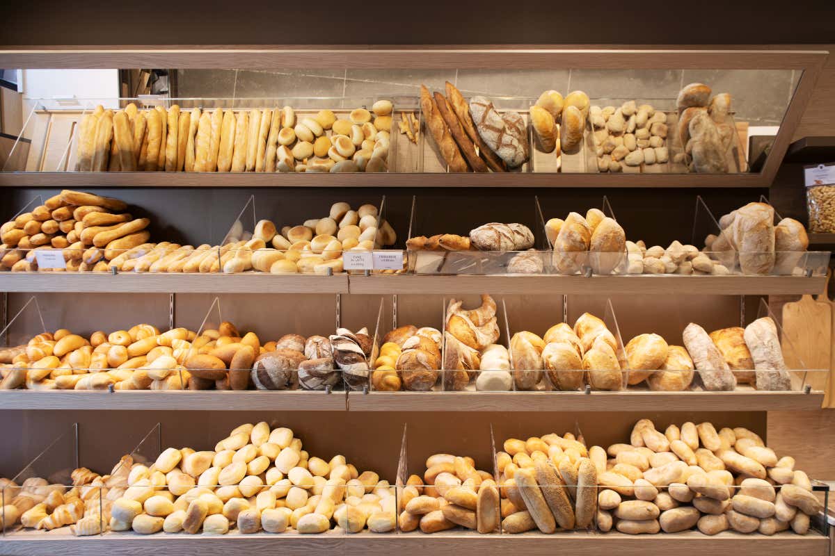 Intelligenza artificiale e panificazione: innovare senza perdere l’anima Intelligenza artificiale e panificazione: innovare senza perdere l’anima