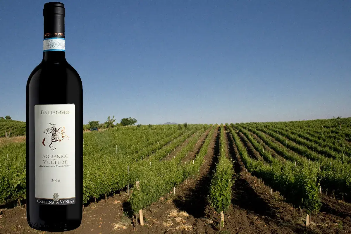 Aglianico del Vulture Baliaggio Dop Baliaggio, un sorprendente Aglianico del Vulture
