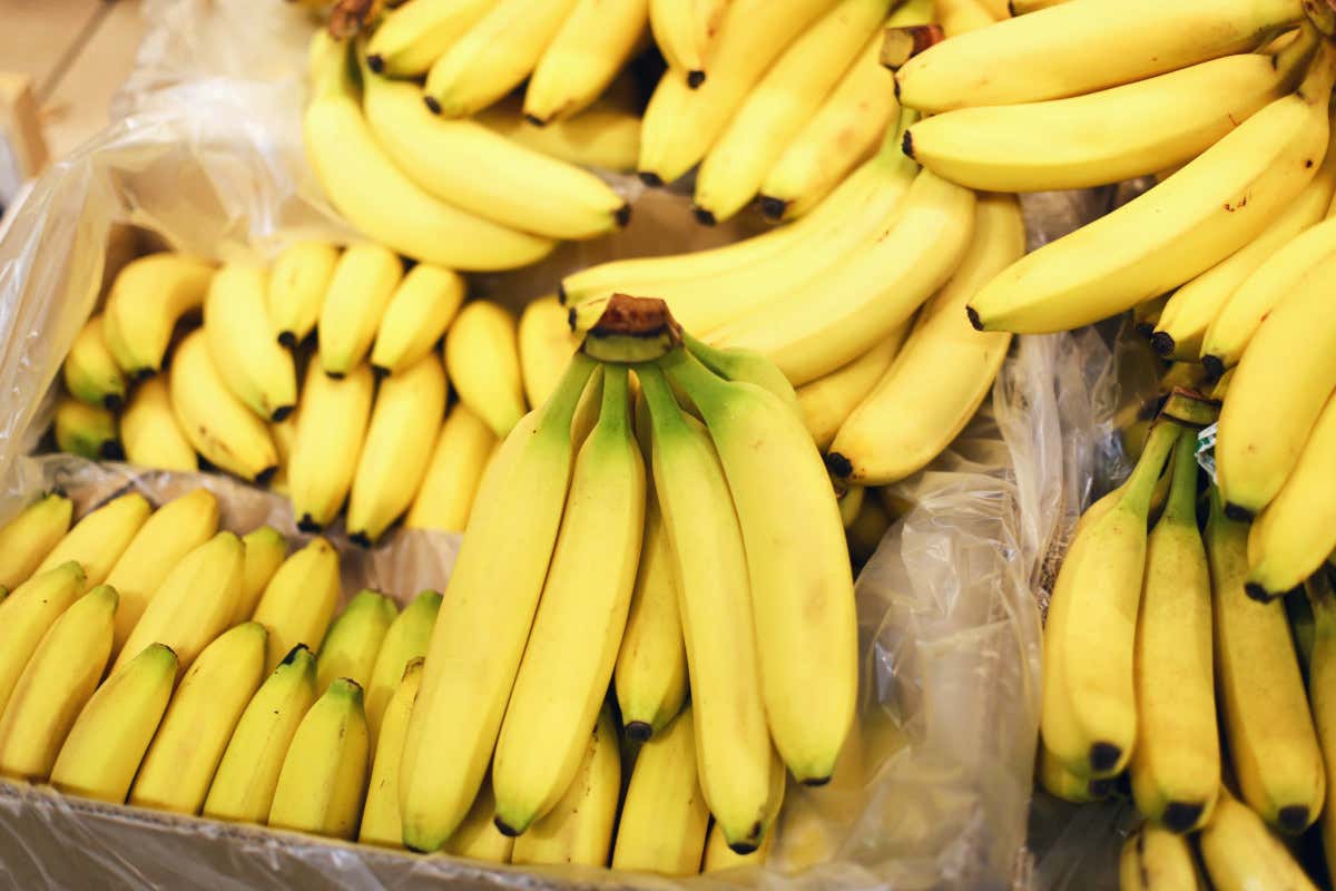 La banana, un'alleata della salute: ecco tutto quello che devi sapere