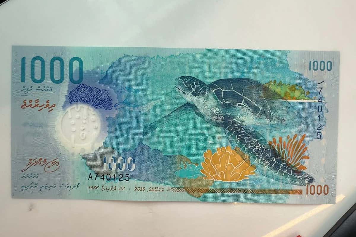 Curiosità: la banconota più bella del mondo è maldiviana