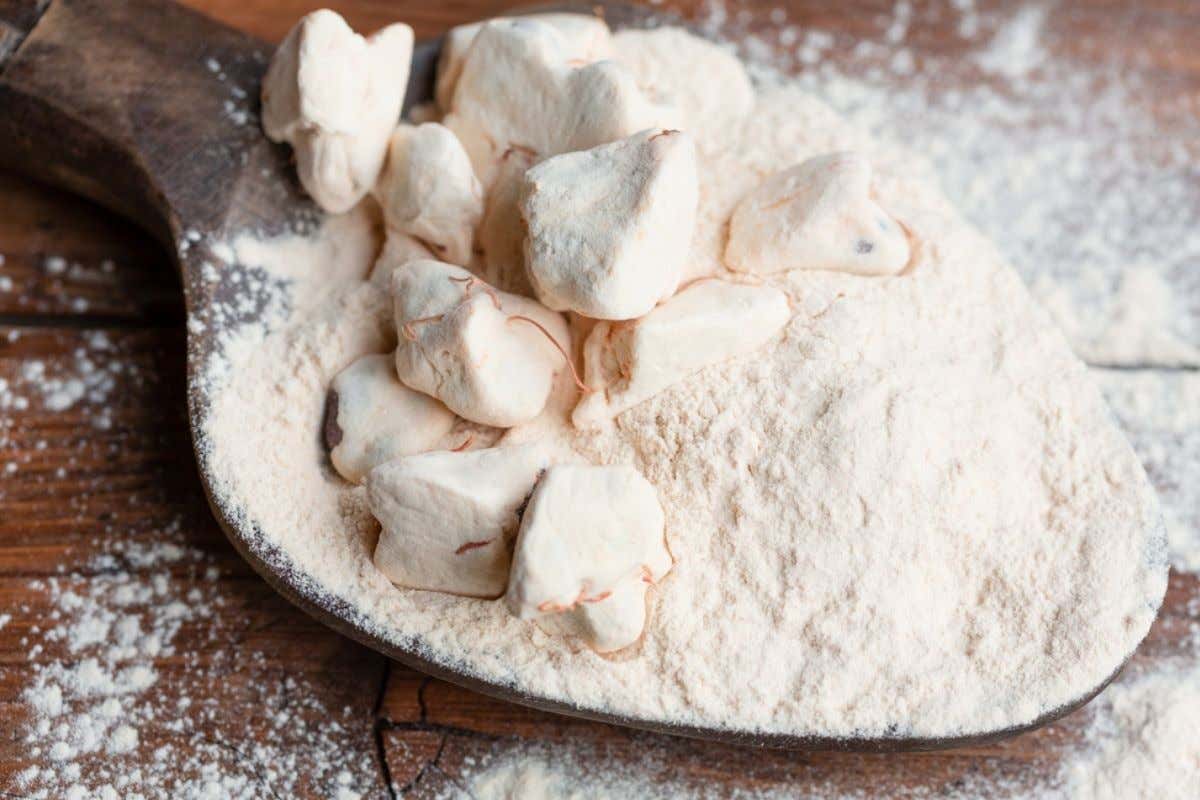 Frutto del baobab, usi e proprietà nutritive di uno dei superfood del 2024