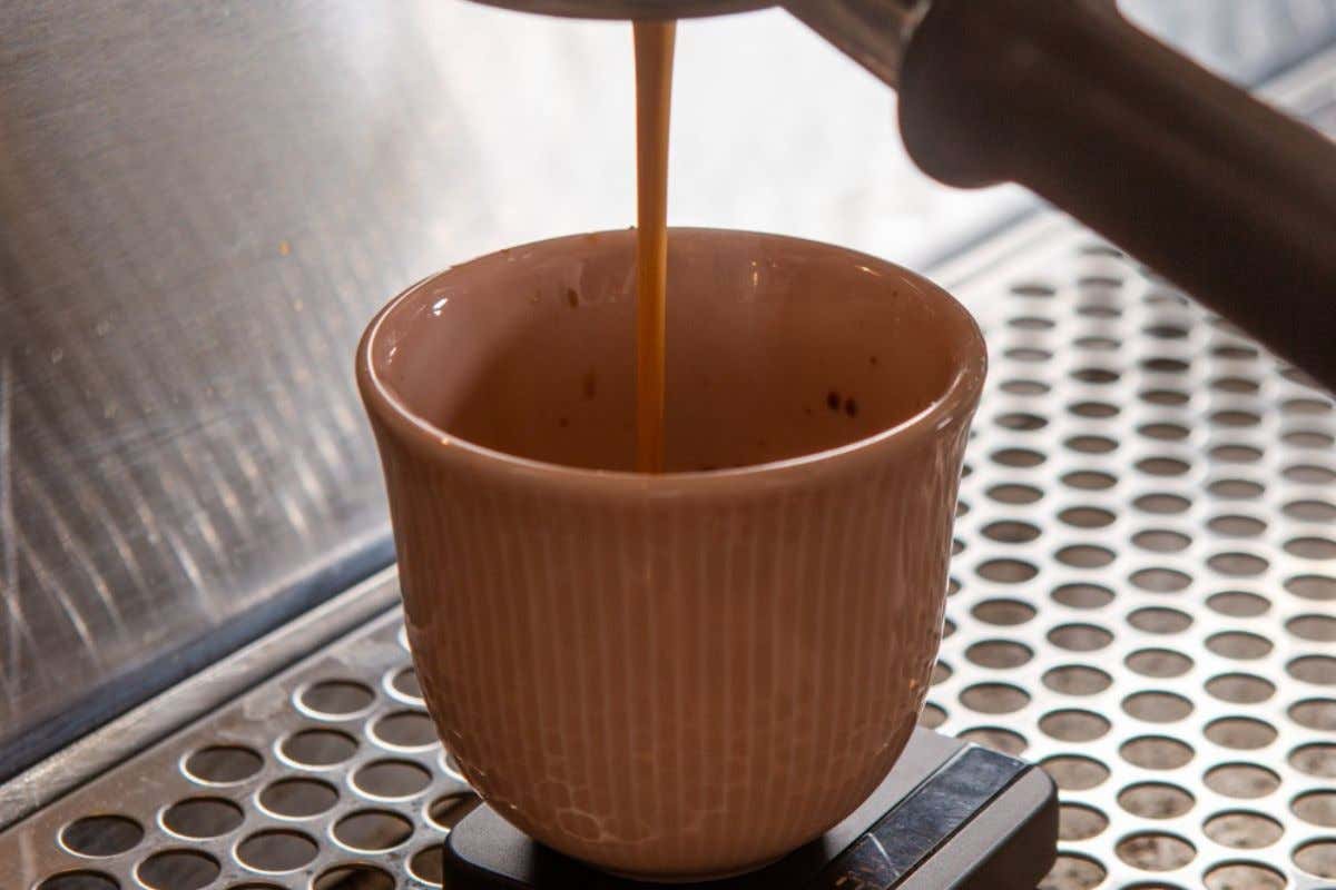 La formula vincente di Bap a Roma: caffè specialty, pasticceria e fine dining