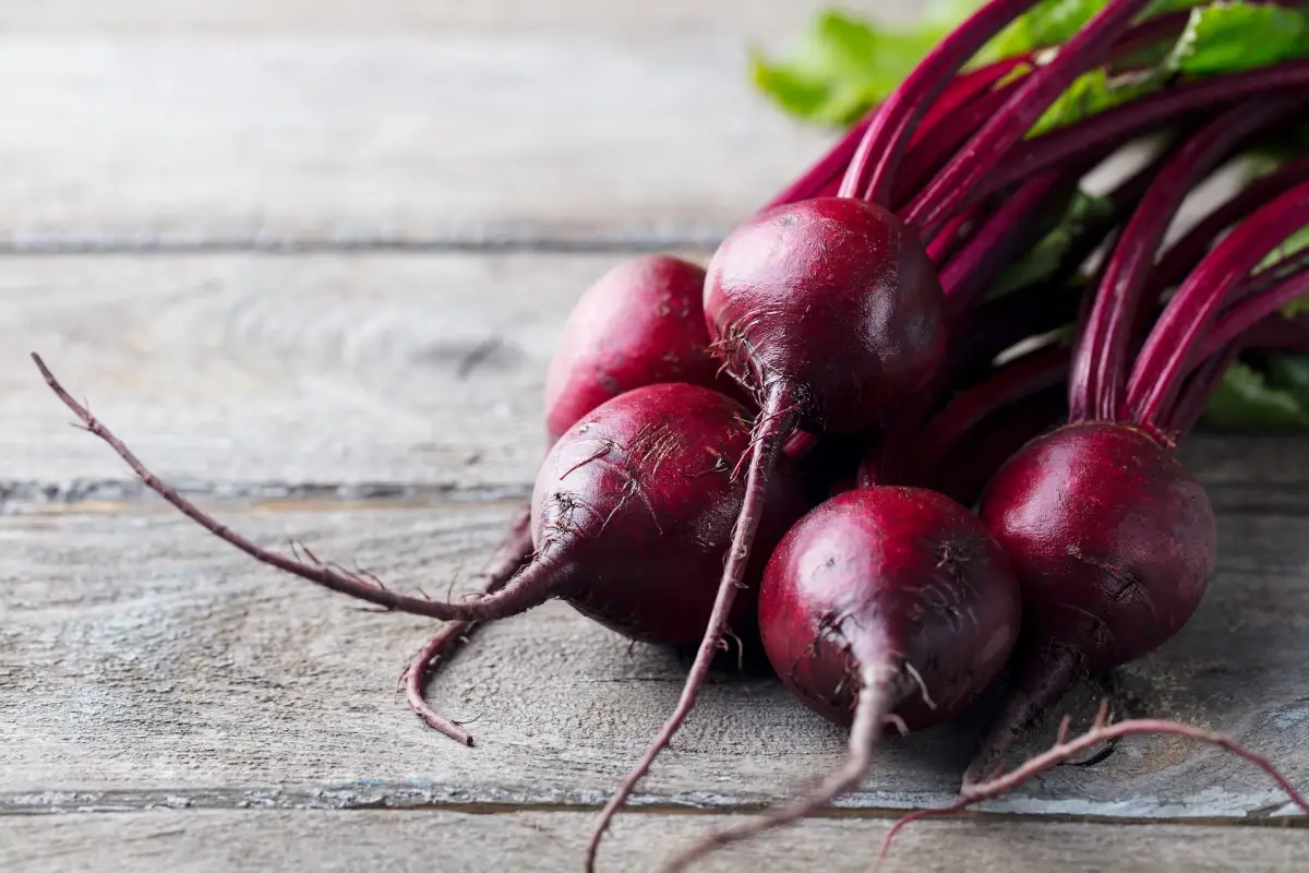 Barbabietola rossa, ortaggio leggero e ricco di minerali: benefici e usi in cucina