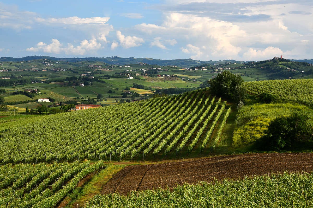 Nizza Docg e Albugnano Doc “549”: gemme enologiche del Piemonte
