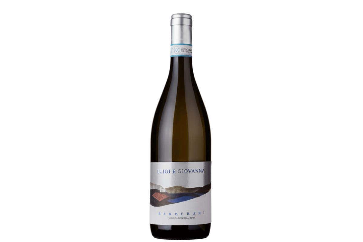 Barberani: dinamismo, innovazione ed eleganza dei vini umbri