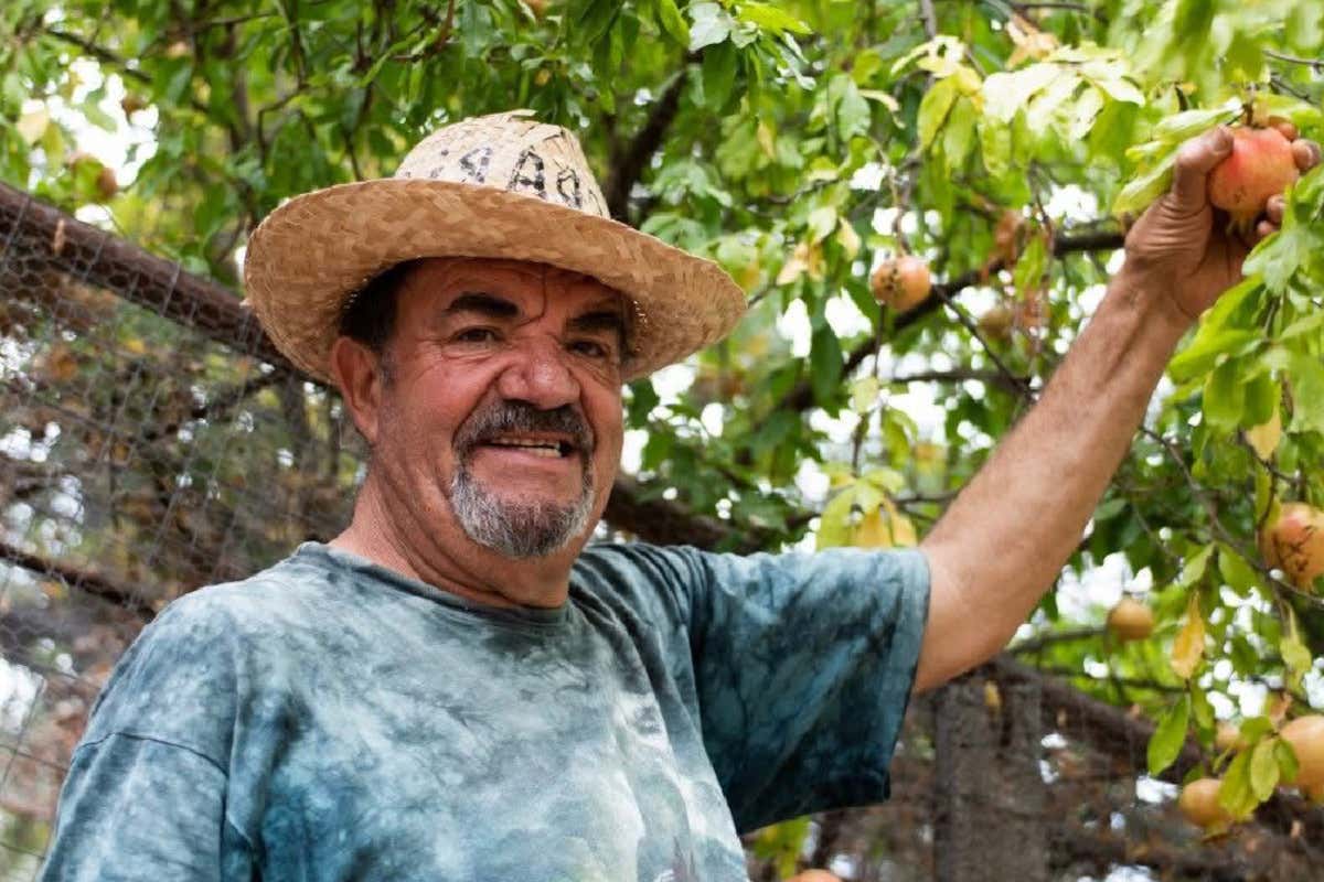 Ad Altomonte le polpette contadine di “casa” Barbieri raccontano la Calabria Ad Altomonte le polpette contadine di “casa” Barbieri raccontano la Calabria