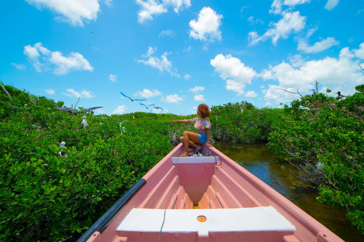 Alla scoperta dell'isola di Barbuda: otto luoghi da non perdere Alla scoperta dell'isola di Barbuda: otto luoghi da non perdere