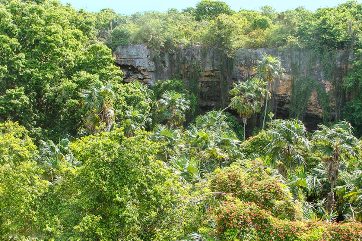 Alla scoperta dell'isola di Barbuda: otto luoghi da non perdere Alla scoperta dell'isola di Barbuda: otto luoghi da non perdere