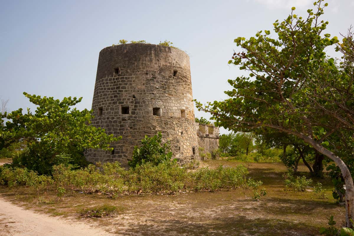 Alla scoperta dell'isola di Barbuda: otto luoghi da non perdere Alla scoperta dell'isola di Barbuda: otto luoghi da non perdere